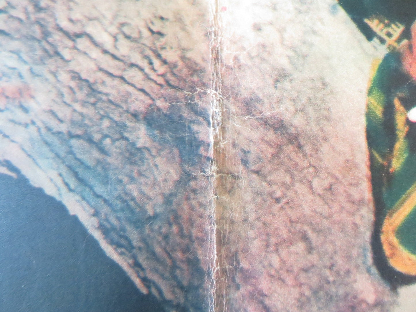 NAKED IN THE SUN - D ITALIAN FOTOBUSTA POSTER JAMES CRAIG LITA MILAN 1959 Rendezvous Cinema Movie posters