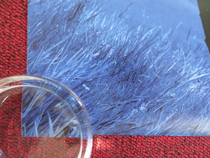 NANNY MCPHEE AND THE BIG BANG - B US ONE SHEET ROLLED POSTER EMMA THOMPSON 2010 Rendezvous Cinema Movie posters