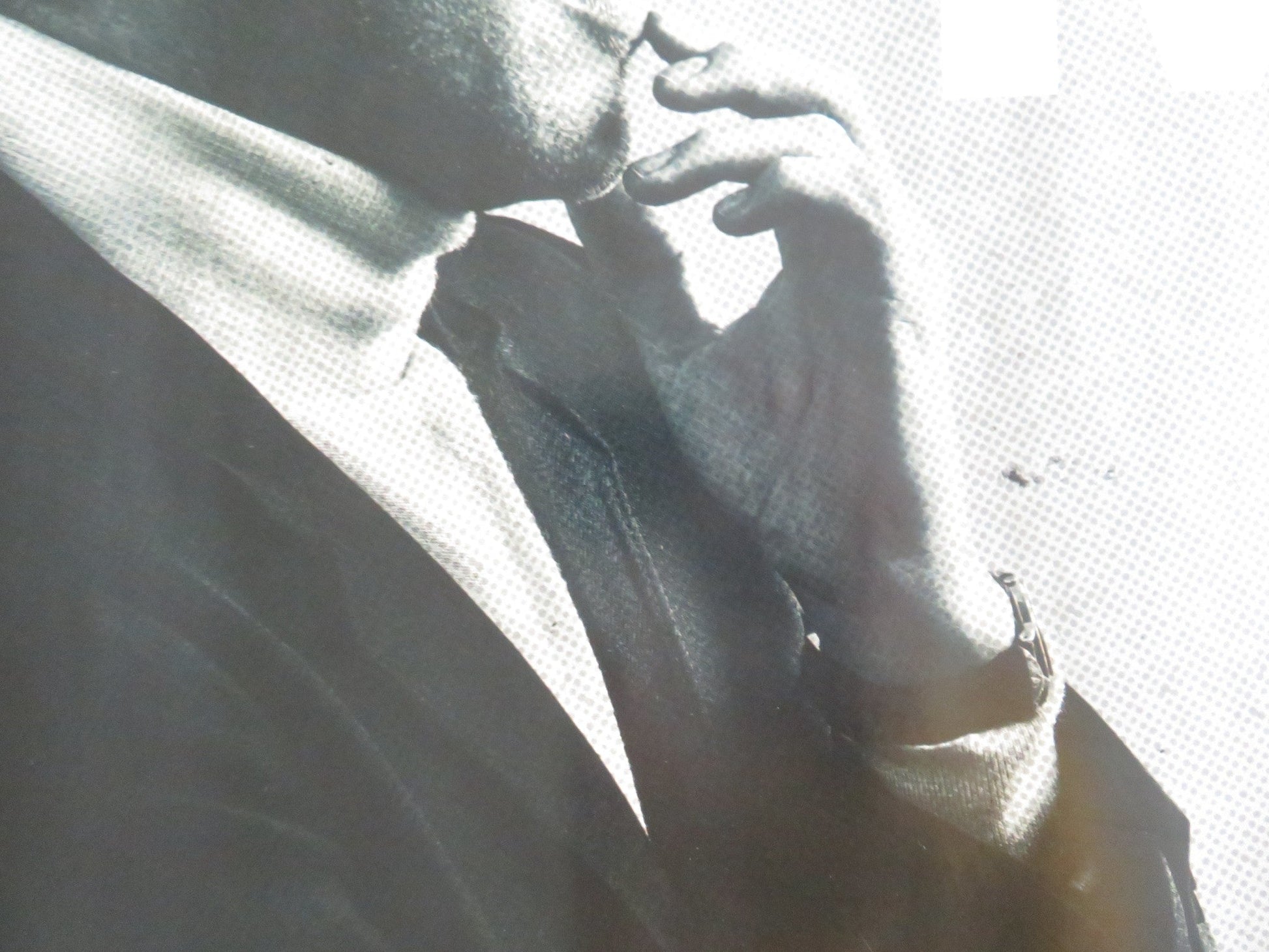 National Theatre Live: The Motive And The Cue UK QUAD ROLLED POSTER GATISS 2024 Movie posters