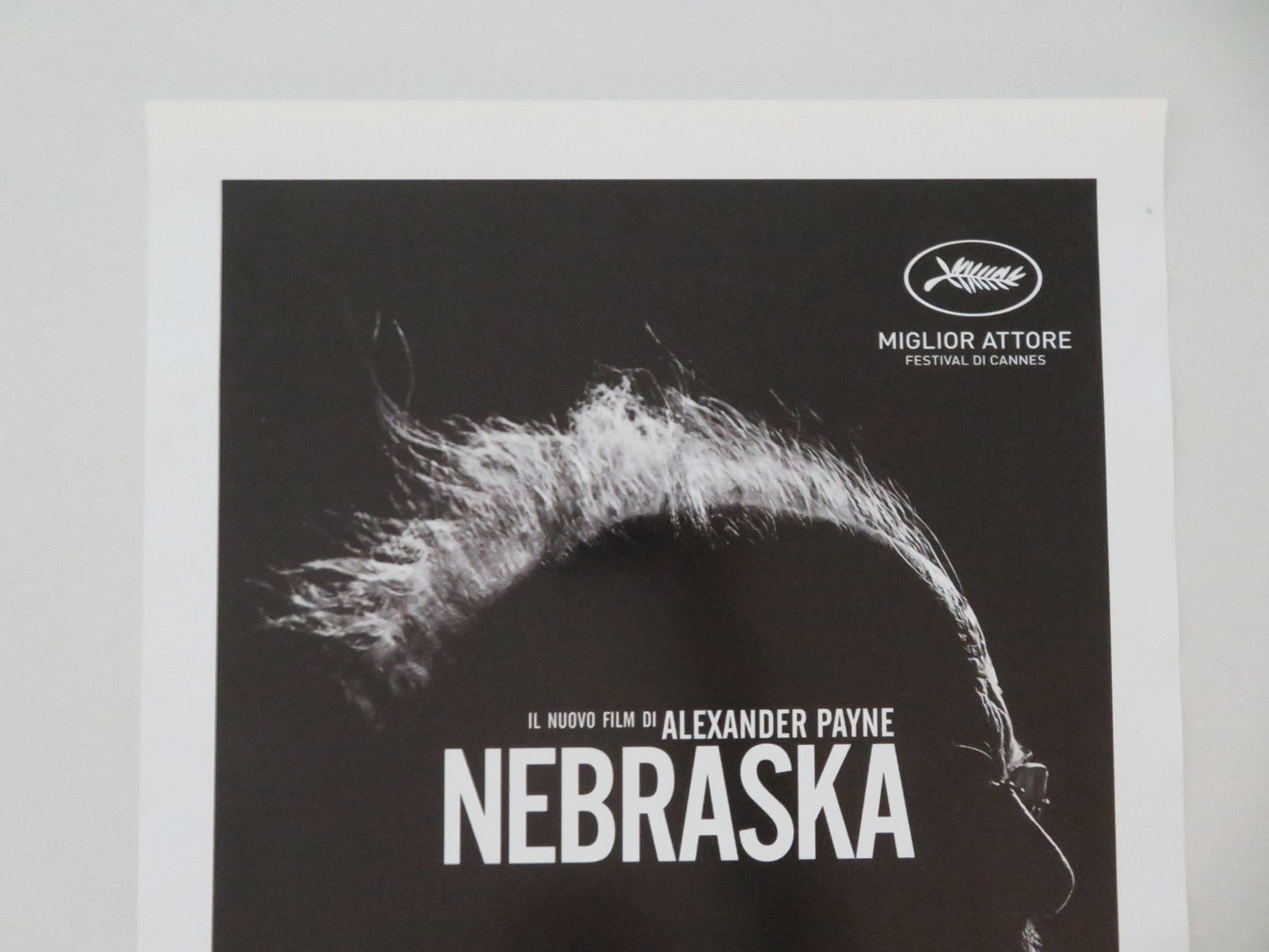 NEBRASKA ITALIAN LOCANDINA POSTER BRUCE DERN WILL FORTE 2013 Movie posters