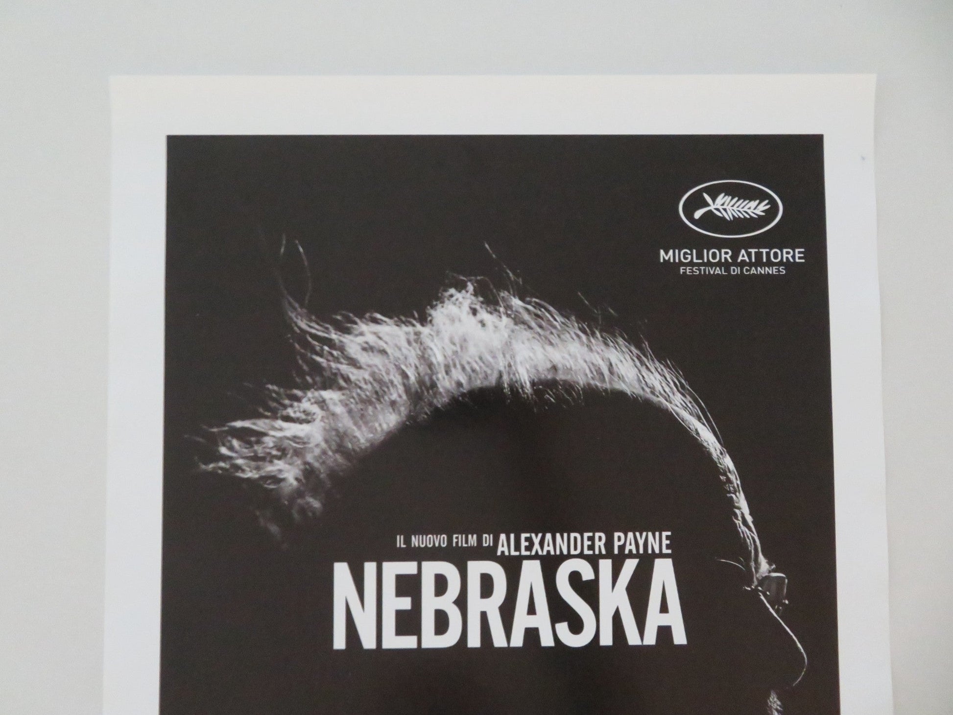 NEBRASKA ITALIAN LOCANDINA POSTER BRUCE DERN WILL FORTE 2013 Movie posters