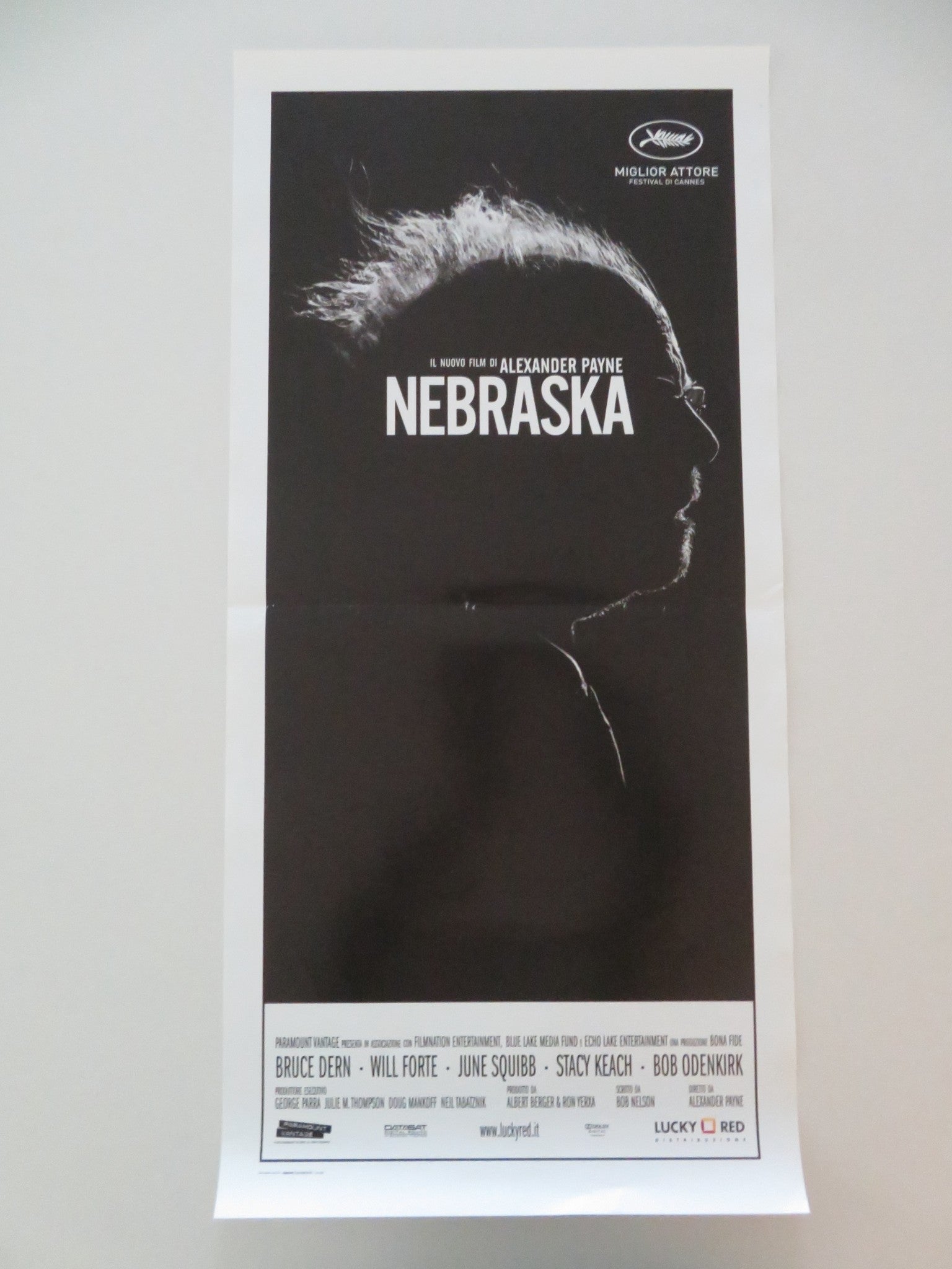 NEBRASKA ITALIAN LOCANDINA POSTER BRUCE DERN WILL FORTE 2013 Movie posters