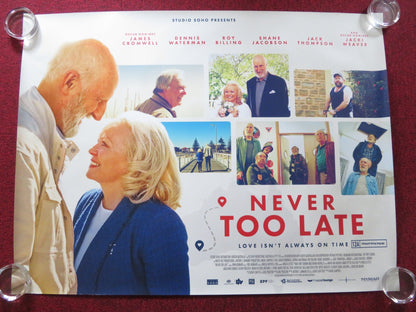 NEVER TOO LATE UK QUAD ROLLED POSTER JAMES CROMWELL DENNIS WATERMAN 2020 Rendezvous Cinema Movie posters
