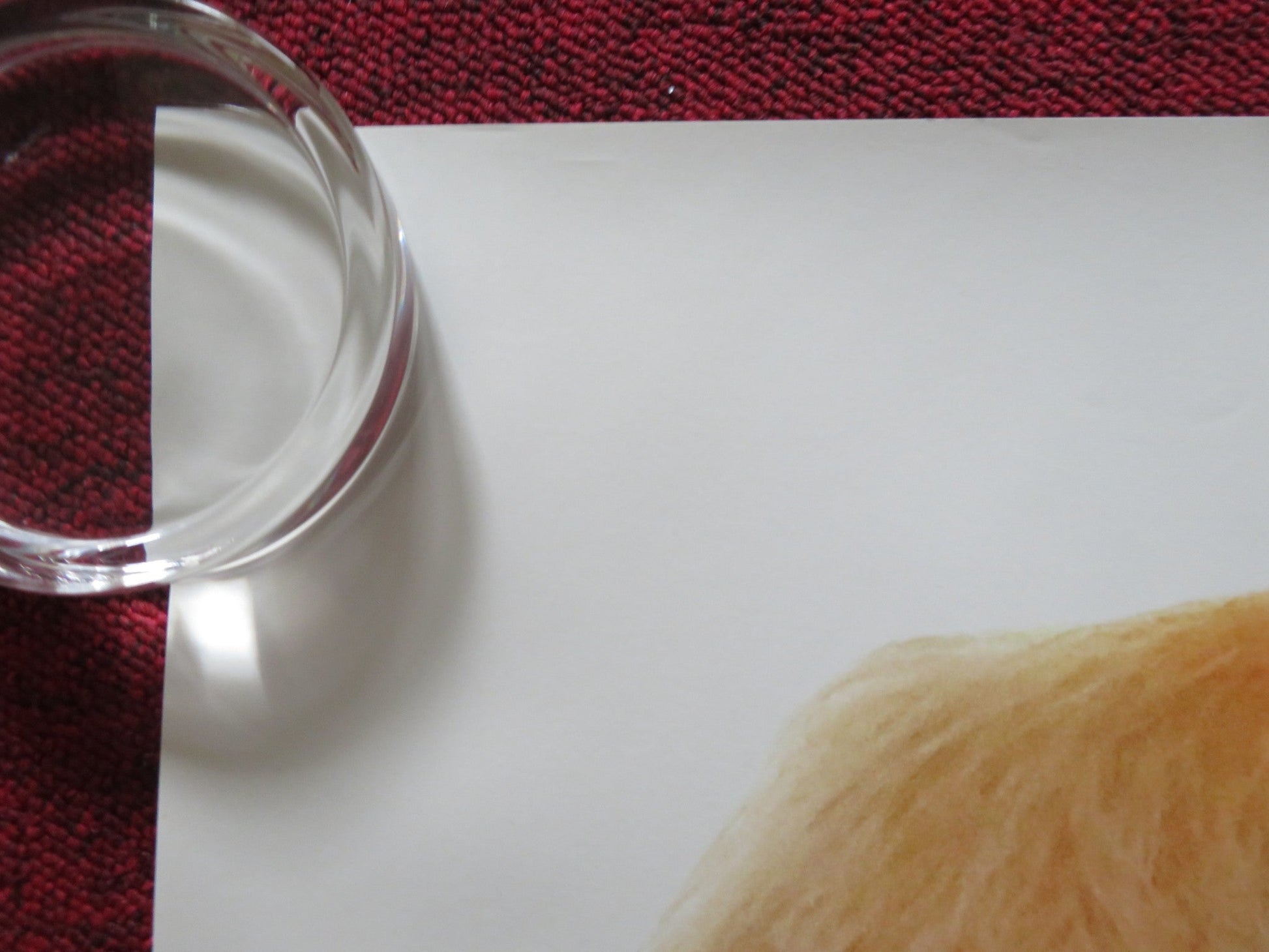 NEVER TOO LATE UK QUAD ROLLED POSTER JAMES CROMWELL DENNIS WATERMAN 2020 Rendezvous Cinema Movie posters