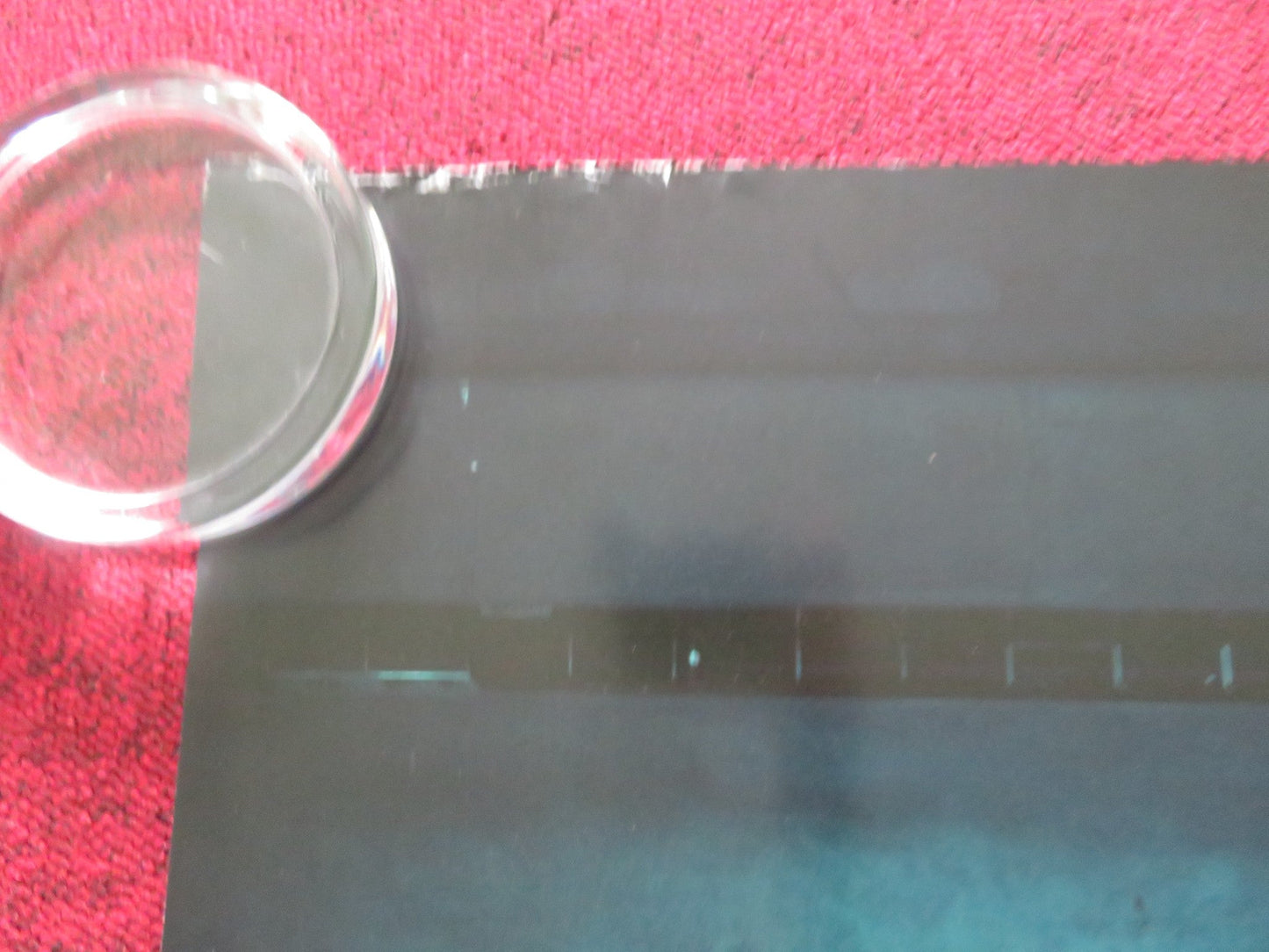 NIGHT SWIM UK QUAD ROLLED POSTER WYATT RUSSELL KERRY CONDON 2024 Rendezvous Cinema Movie posters