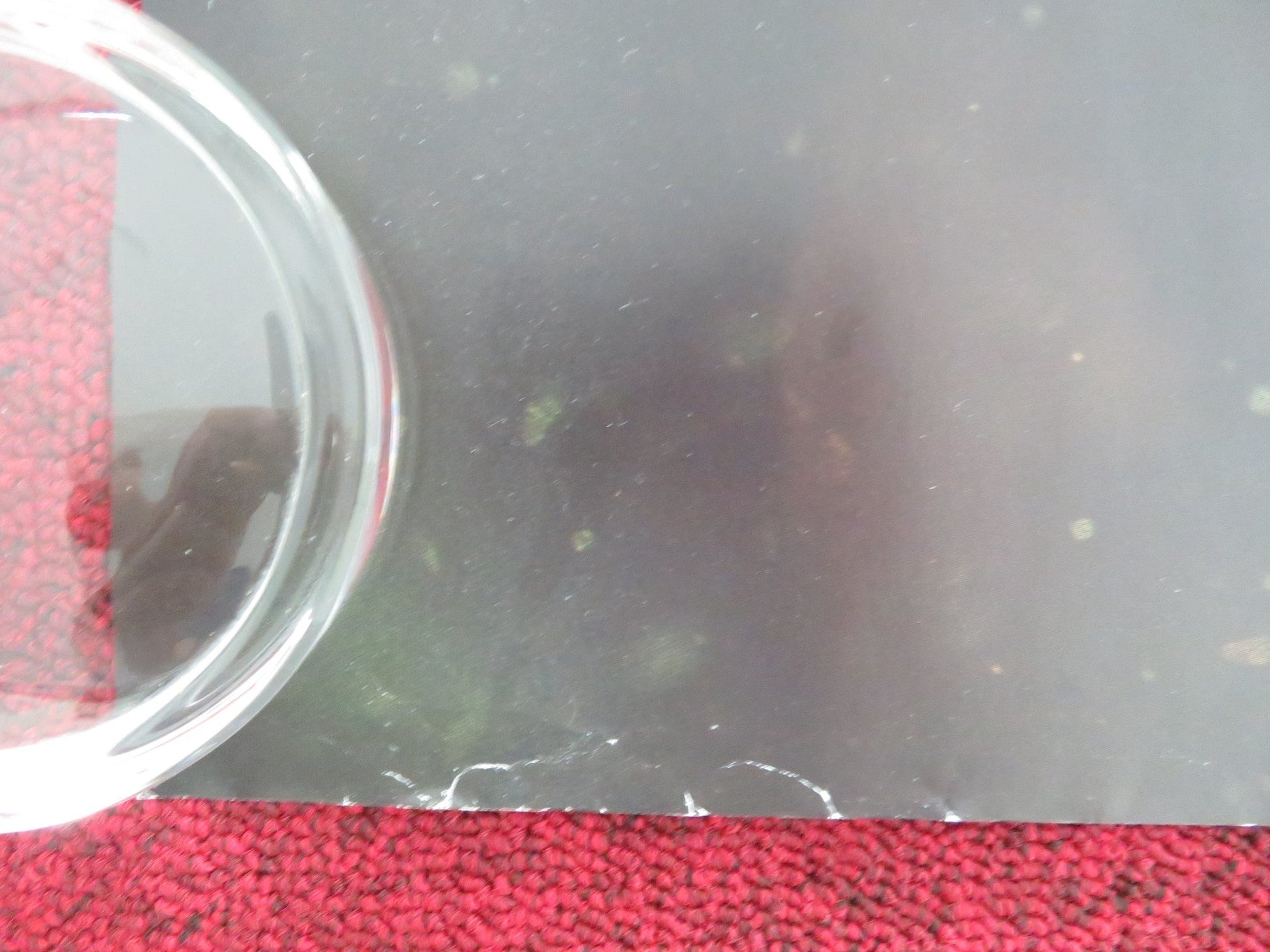 NIGHTMARE ALLEY UK QUAD ROLLED POSTER BRADLEY COOPER CATE BLANCHETT 2021 Movie posters