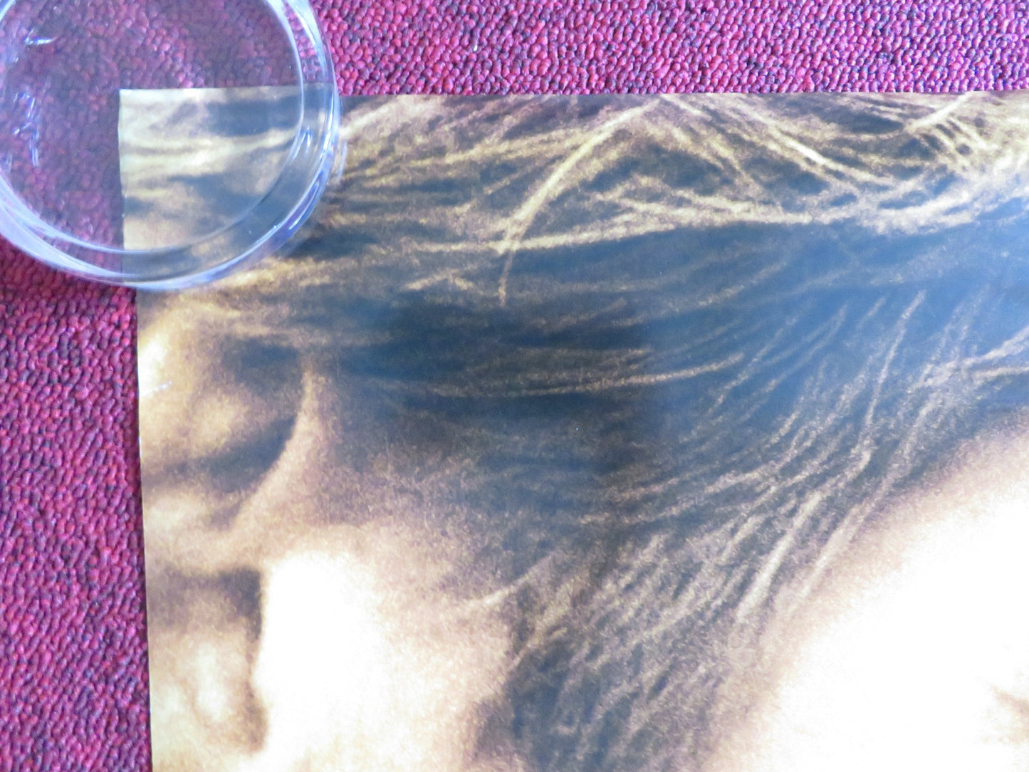 NIGHTS IN RODANTHE - B US ONE SHEET ROLLED POSTER RICHARD GERE DIANE LANE 2008 Rendezvous Cinema Movie posters