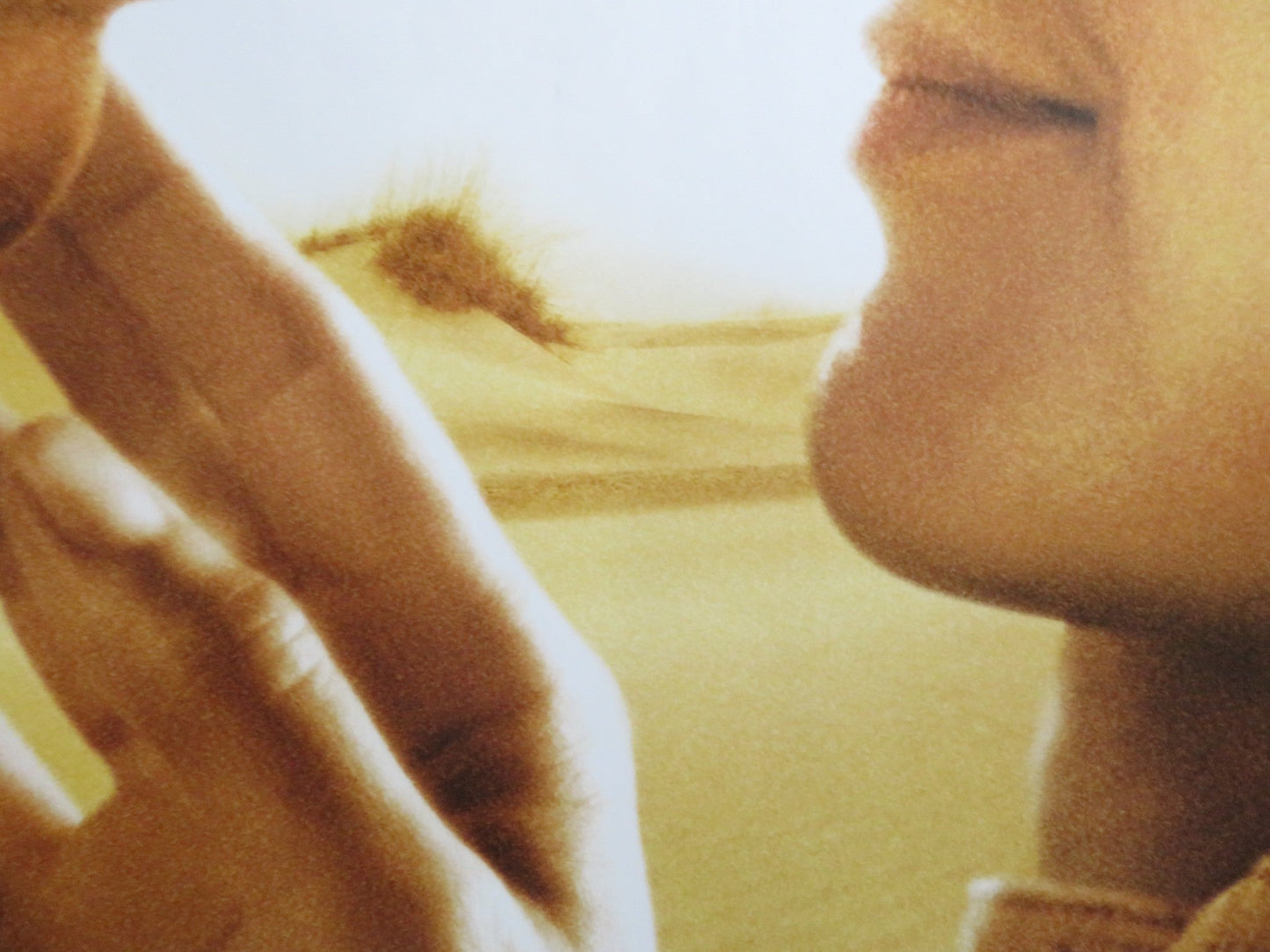 NIGHTS IN RODANTHE - B US ONE SHEET ROLLED POSTER RICHARD GERE DIANE LANE 2008 Rendezvous Cinema Movie posters