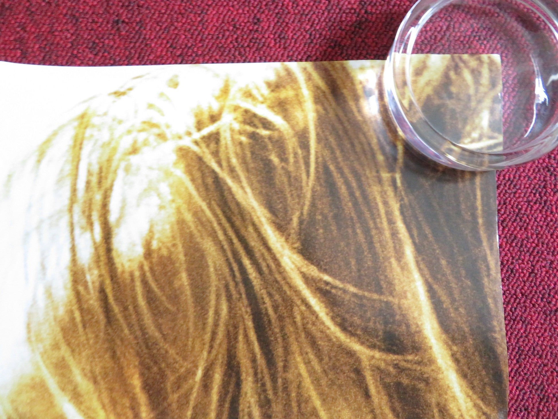 NIGHTS IN RODANTHE - B US ONE SHEET ROLLED POSTER RICHARD GERE DIANE LANE 2008 Rendezvous Cinema Movie posters