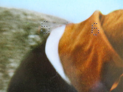 NINJA WAR LORD - A ITALIAN FOTOBUSTA POSTER SING CHEN YASUAKI KURATA 1973 Rendezvous Cinema Movie posters