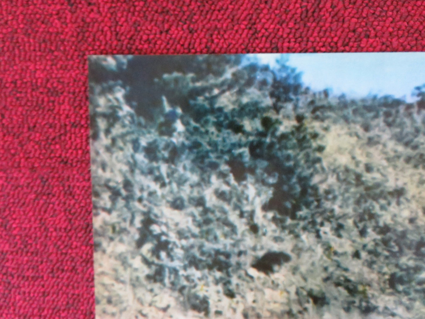 NINJA WAR LORD - C ITALIAN FOTOBUSTA POSTER SING CHEN YASUAKI KURATA 1973 Rendezvous Cinema Movie posters