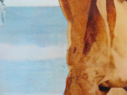 NINJA WAR LORD - E ITALIAN FOTOBUSTA POSTER SING CHEN YASUAKI KURATA 1973 Rendezvous Cinema Movie posters