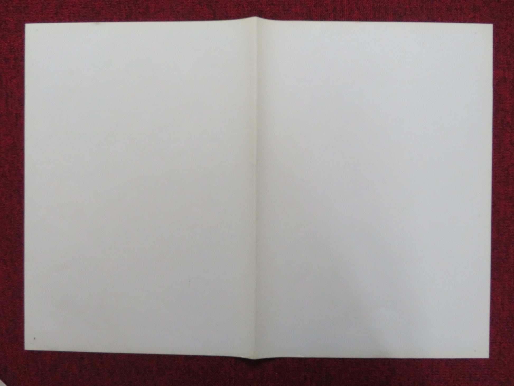 NO SIAM COME LE LUCCIOLE - C ITALIAN FOTOBUSTA POSTER ROBERT HOFFMAN 1976 Rendezvous Cinema Movie posters