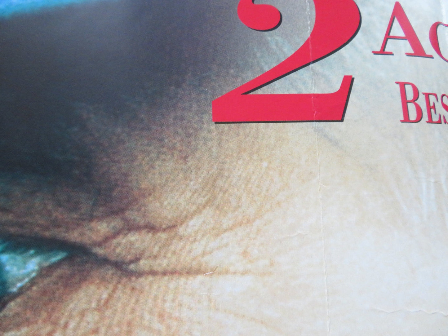 NOBODY'S FOOL UK QUAD POSTER FOLDED PAUL NEWMAN JESSICA TANDY 1995 Rendezvous Cinema Movie posters