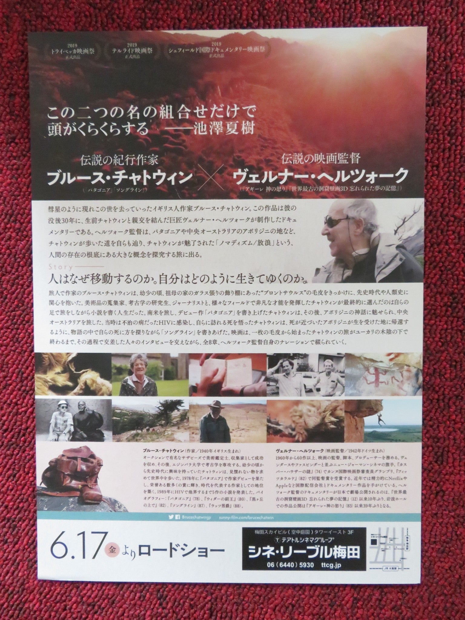 NOMAD: IN THE FOOTSTEPS OF BRUCE CHATWIN JAPANESE CHIRASHI (B5) POSTER 2019 Rendezvous Cinema Movie posters