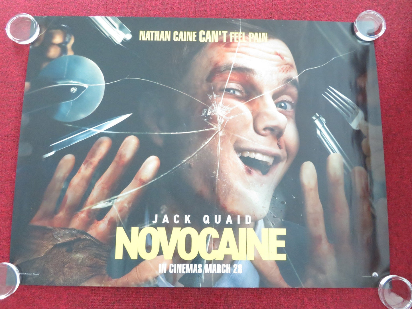 NOVOCAINE UK QUAD ROLLED POSTER JACK QUAID AMBER MIDTHUNDER 2025 Movie posters