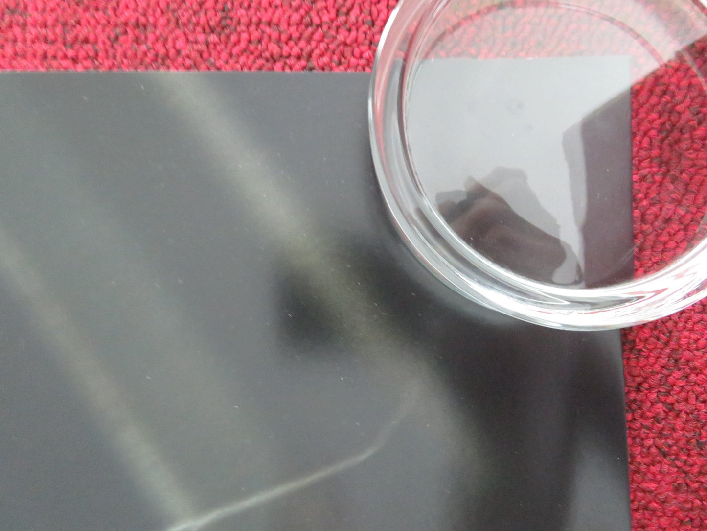 NOVOCAINE UK QUAD ROLLED POSTER JACK QUAID AMBER MIDTHUNDER 2025 Movie posters