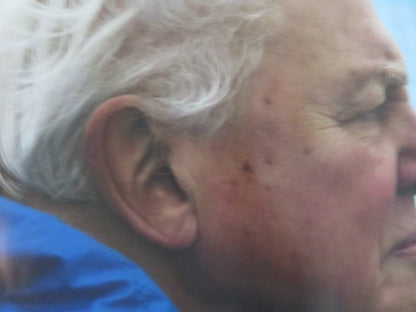 OCEAN WITH DAVID ATTENBOROUGH UK QUAD ROLLED POSTER 2025 - Rendezvous Cinema