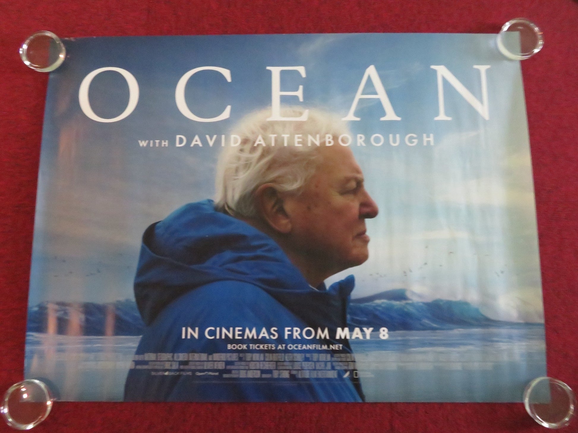 OCEAN WITH DAVID ATTENBOROUGH UK QUAD ROLLED POSTER 2025 - Rendezvous Cinema