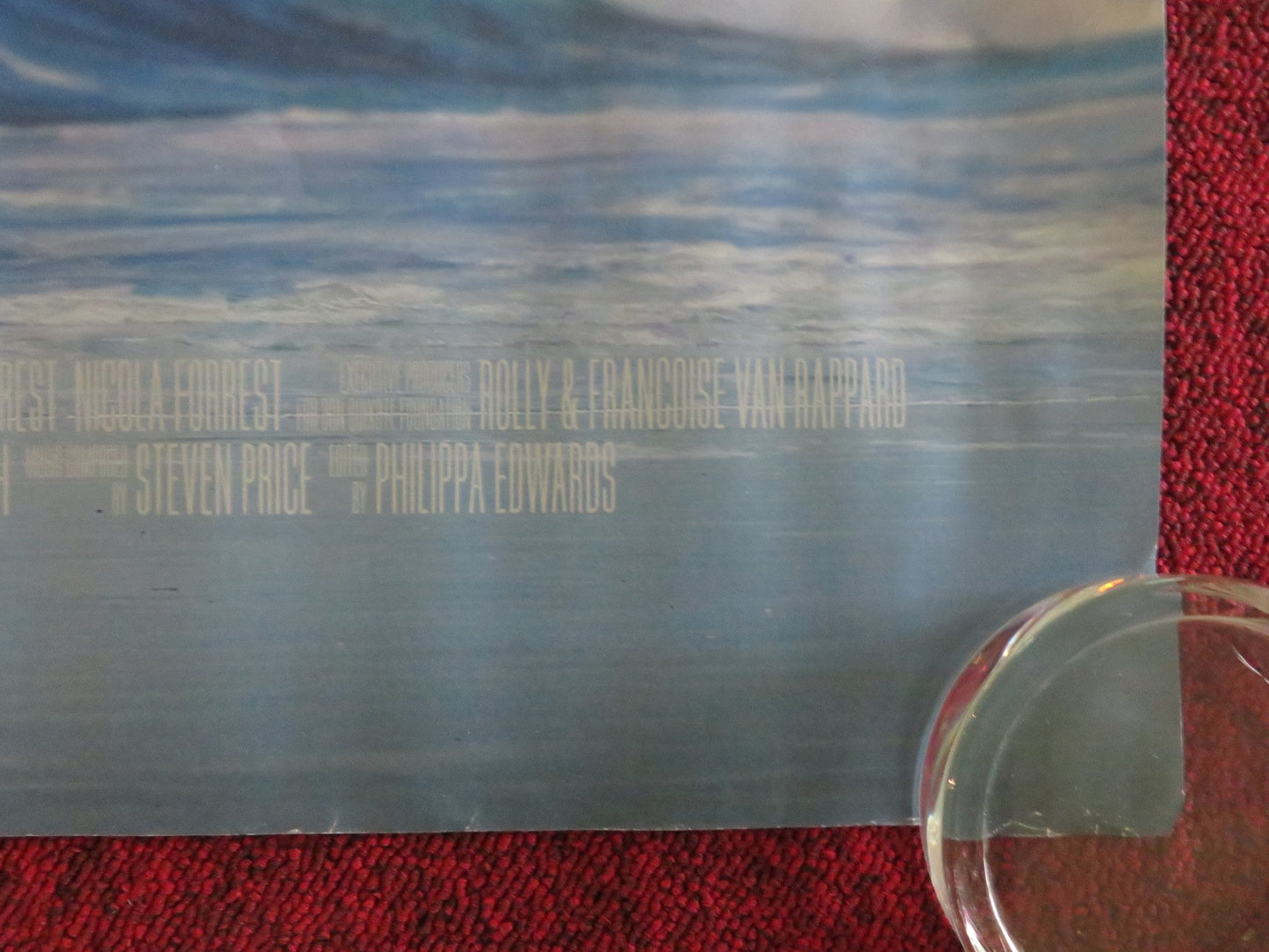 OCEAN WITH DAVID ATTENBOROUGH UK QUAD ROLLED POSTER 2025 - Rendezvous Cinema