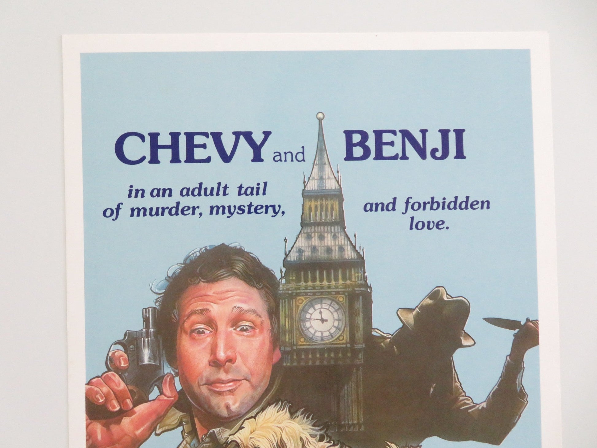 OH HEAVENLY DOG US INSERT POSTER CHEVY CHASE BENJI JANE SEYMOUR 1980 Movie posters
