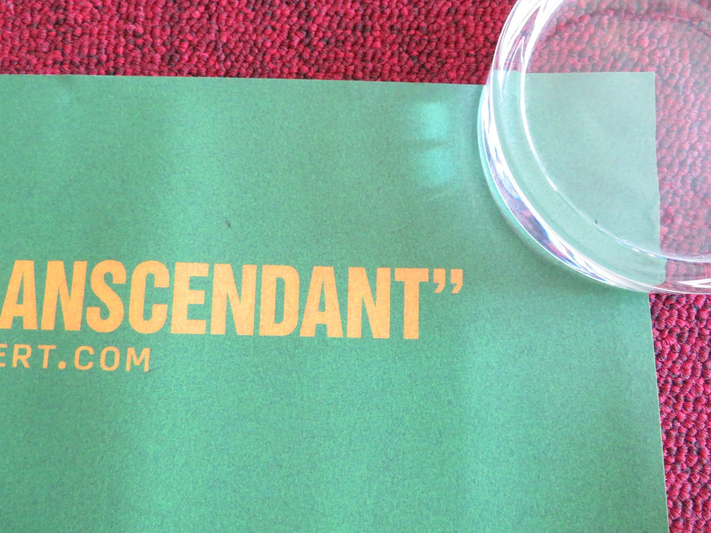 ON BECOMING A GUINEA FOWL UK QUAD ROLLED POSTER SUSAN CHARDY ROY CHISHA 2024 Rendezvous Cinema Movie posters