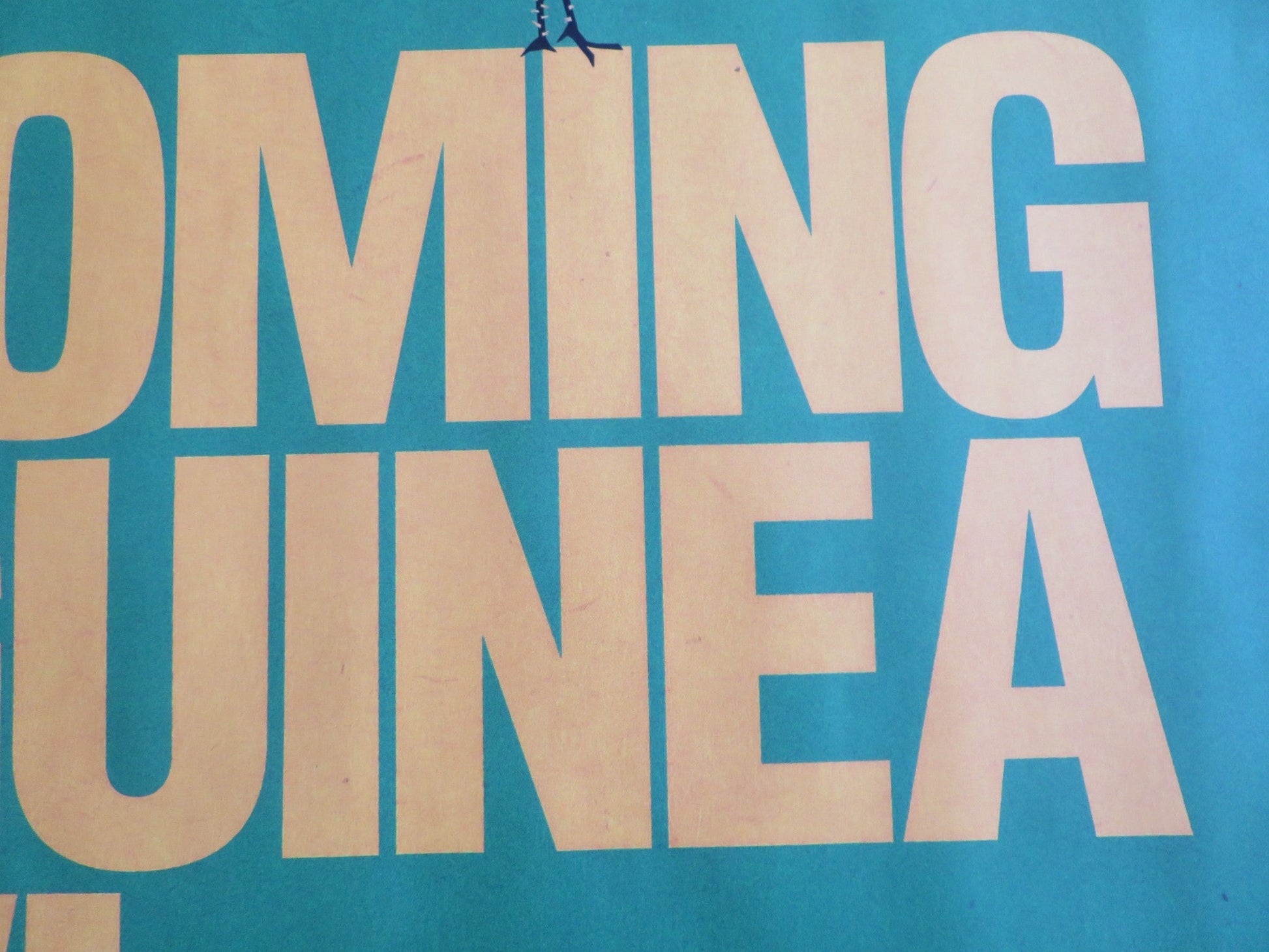 ON BECOMING A GUINEA FOWL UK QUAD ROLLED POSTER SUSAN CHARDY ROY CHISHA 2024 Rendezvous Cinema Movie posters