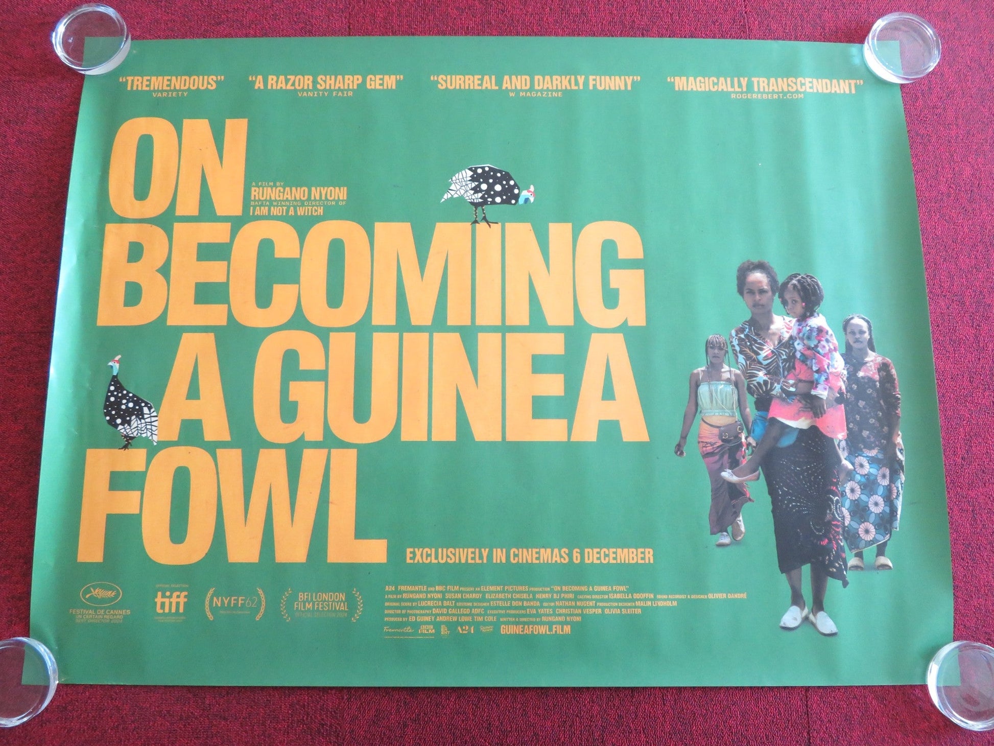 ON BECOMING A GUINEA FOWL UK QUAD ROLLED POSTER SUSAN CHARDY ROY CHISHA 2024 Rendezvous Cinema Movie posters