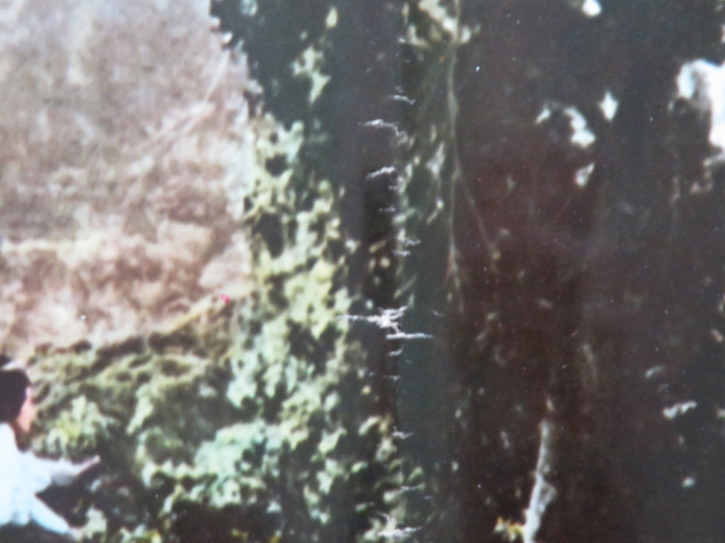 ONE ARMED SWORDSWOMAN - A ITALIAN FOTOBUSTA POSTER CHING - CHING CHANG 1973 Rendezvous Cinema Movie posters