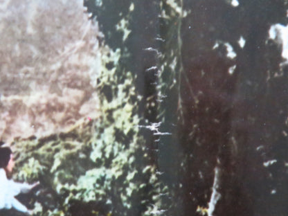 ONE ARMED SWORDSWOMAN - A ITALIAN FOTOBUSTA POSTER CHING - CHING CHANG 1973 Rendezvous Cinema Movie posters