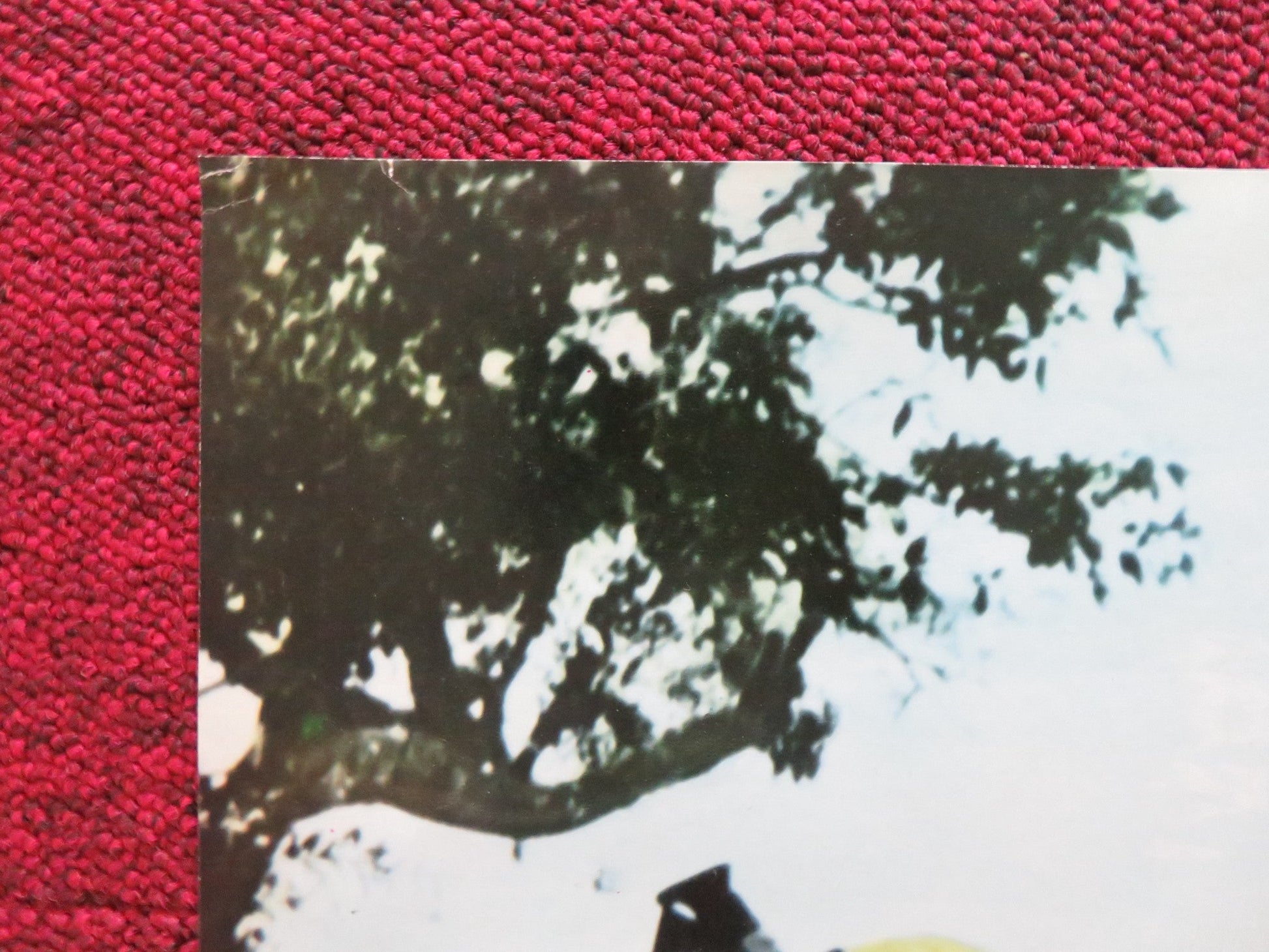 ONE ARMED SWORDSWOMAN - A ITALIAN FOTOBUSTA POSTER CHING - CHING CHANG 1973 Rendezvous Cinema Movie posters