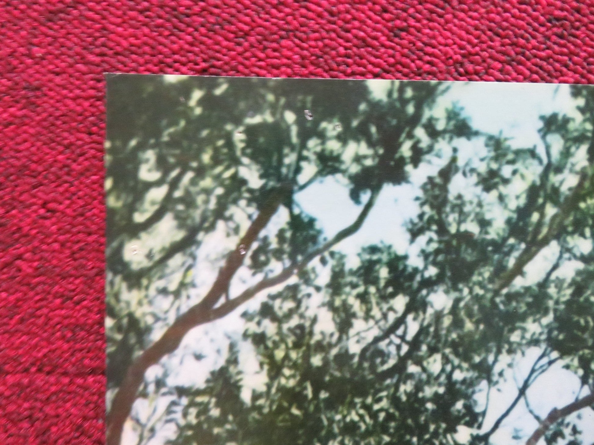 ONE ARMED SWORDSWOMAN - D ITALIAN FOTOBUSTA POSTER CHING - CHING CHANG 1973 Rendezvous Cinema Movie posters