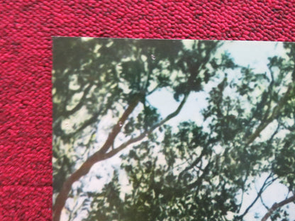 ONE ARMED SWORDSWOMAN - D ITALIAN FOTOBUSTA POSTER CHING - CHING CHANG 1973 Rendezvous Cinema Movie posters