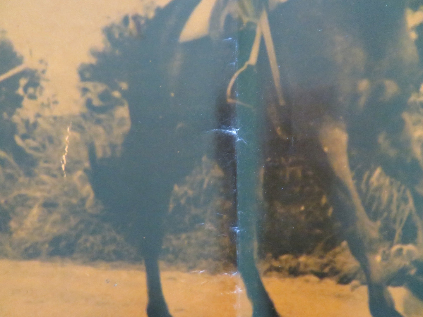 ONE ARMED SWORDSWOMAN - F ITALIAN FOTOBUSTA POSTER CHING - CHING CHANG 1973 Rendezvous Cinema Movie posters