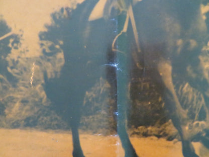 ONE ARMED SWORDSWOMAN - F ITALIAN FOTOBUSTA POSTER CHING - CHING CHANG 1973 Rendezvous Cinema Movie posters