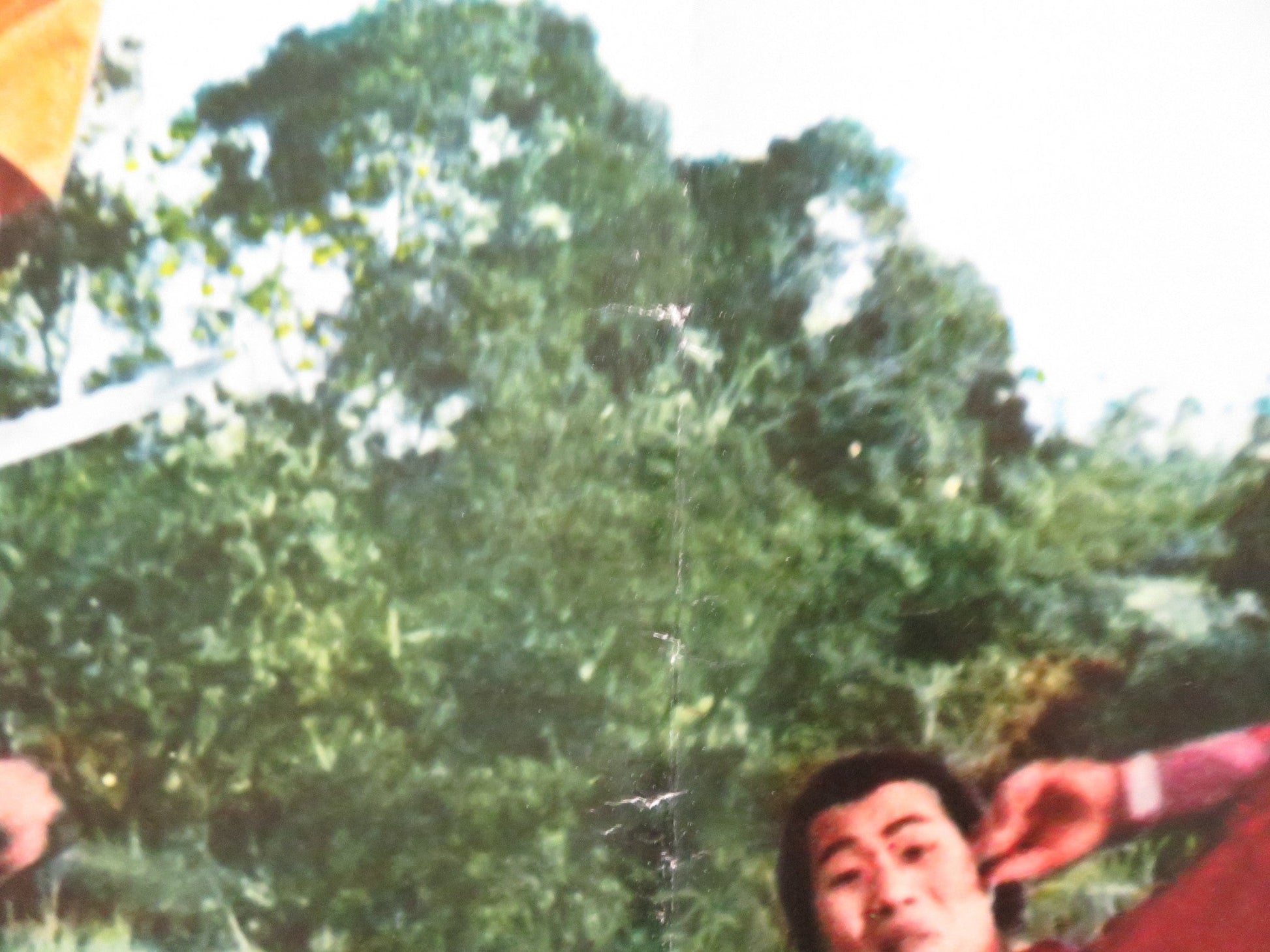 ONE ARMED SWORDSWOMAN - H ITALIAN FOTOBUSTA POSTER CHING - CHING CHANG 1973 Rendezvous Cinema Movie posters