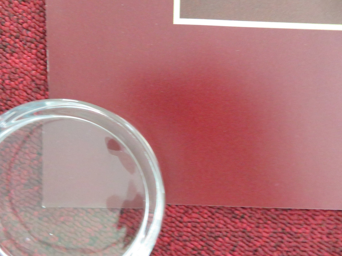 OPUS UK QUAD ROLLED POSTER AYO EDEBIRI JOHN MALKOVICH 2025 Movie posters