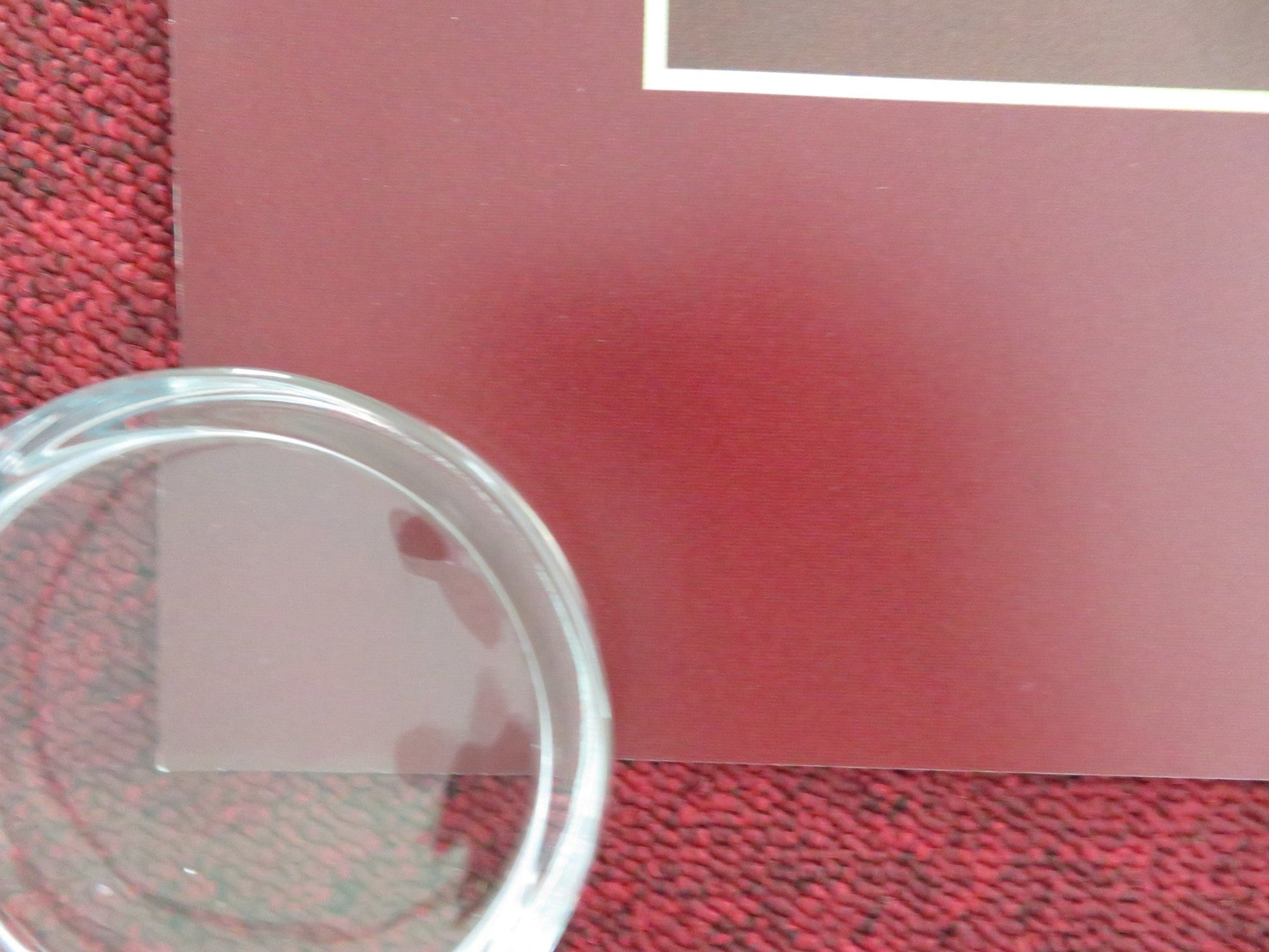 OPUS UK QUAD ROLLED POSTER AYO EDEBIRI JOHN MALKOVICH 2025 Movie posters