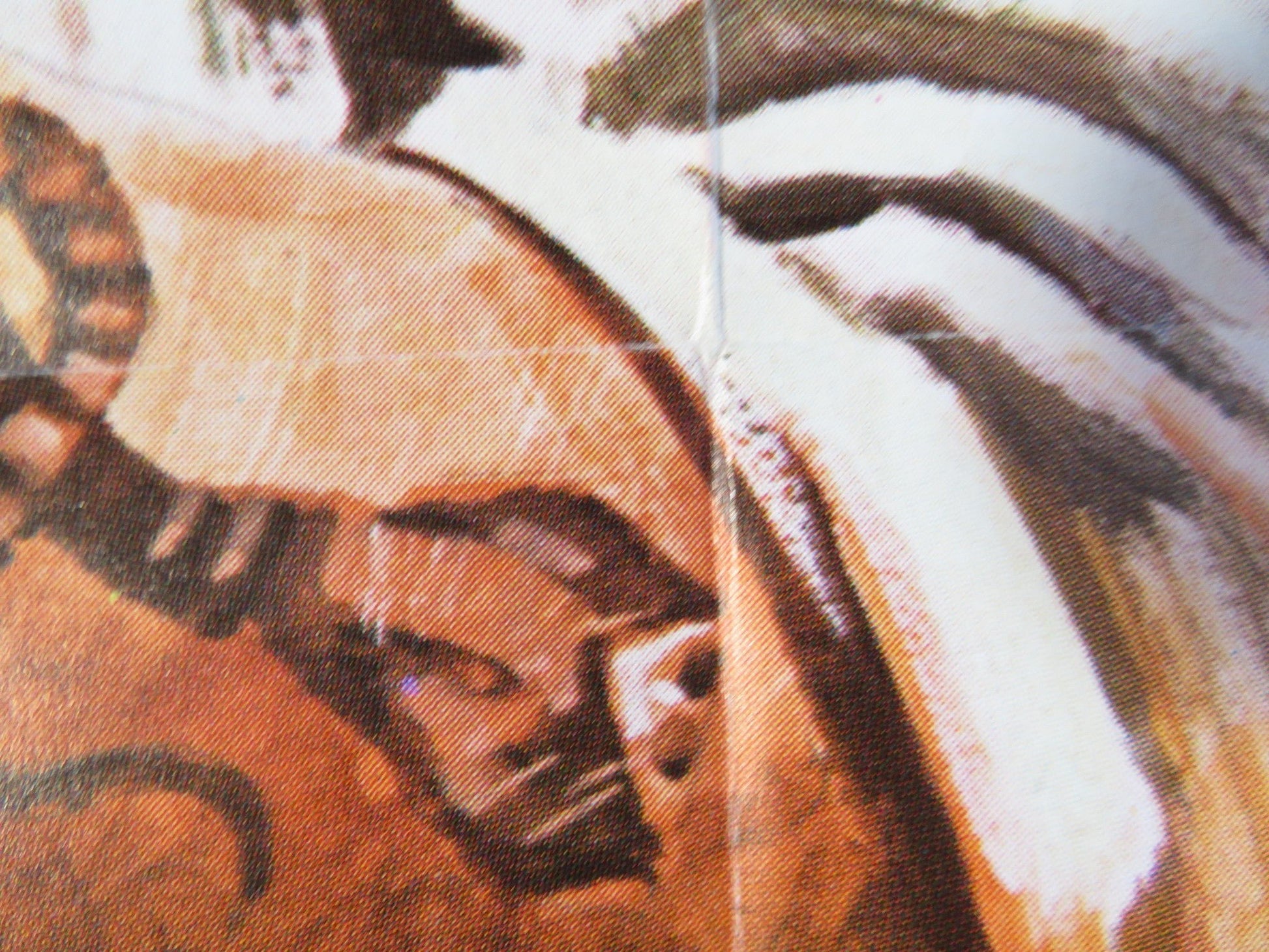 ORDER TO ASSASSINATE GERMAN A1 POSTER FOLDED HELMUT BERGER SYDNE ROME 1975 Rendezvous Cinema Movie posters