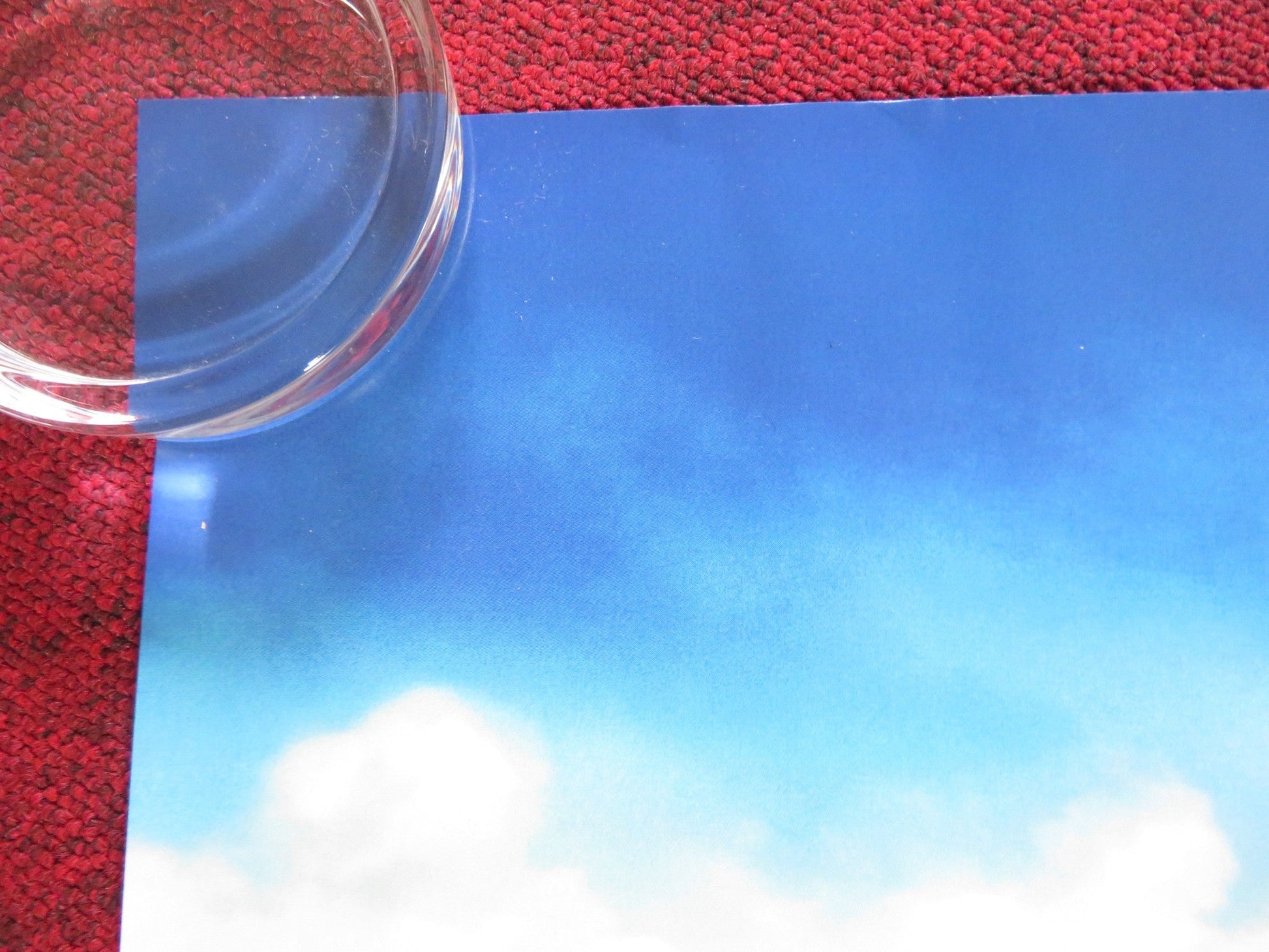 OZI: VOICE OF THE FOREST UK QUAD ROLLED POSTER AMANDLA STENBERG 2023 Rendezvous Cinema Movie posters