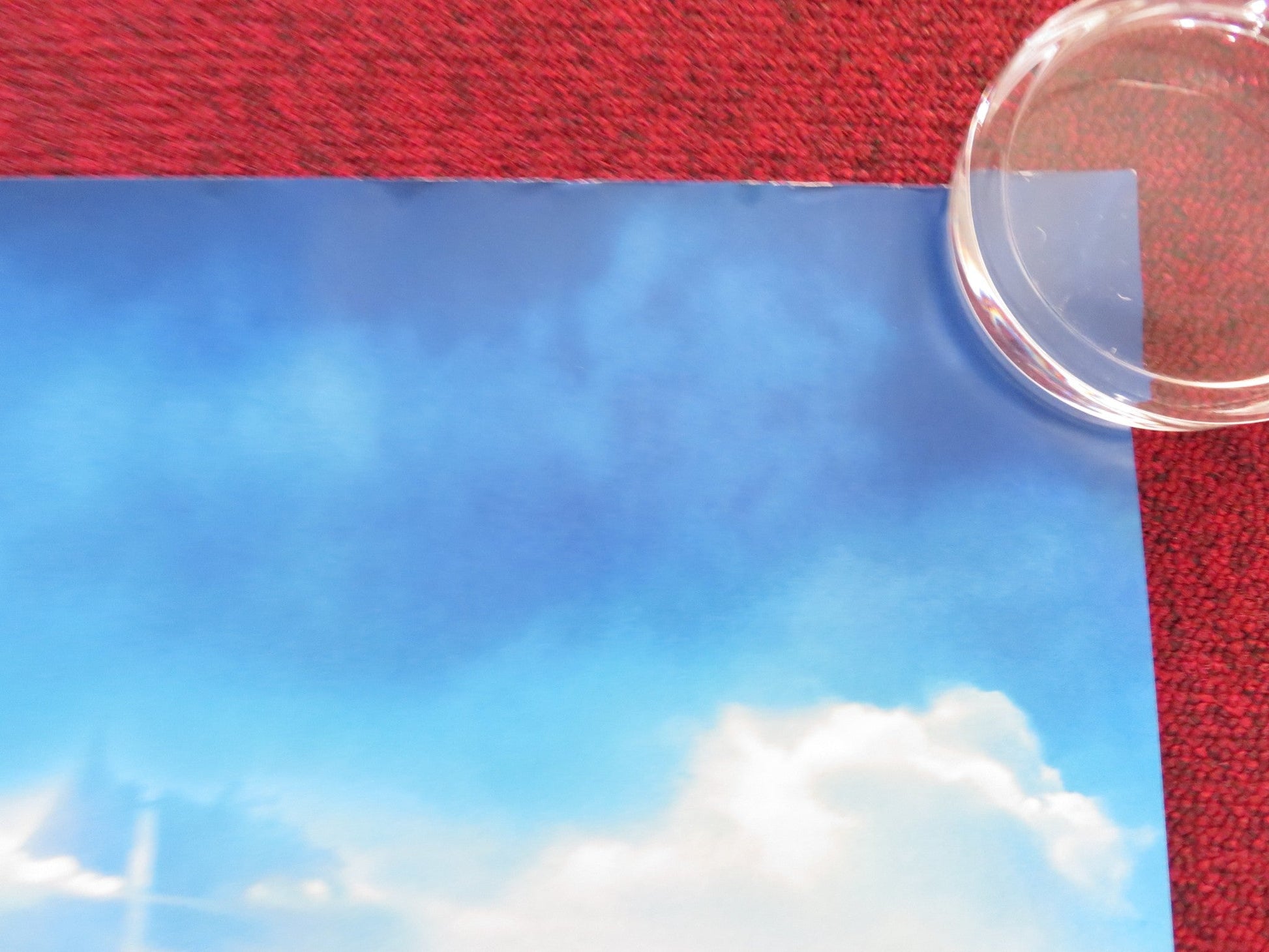 OZI: VOICE OF THE FOREST UK QUAD ROLLED POSTER AMANDLA STENBERG 2023 Rendezvous Cinema Movie posters