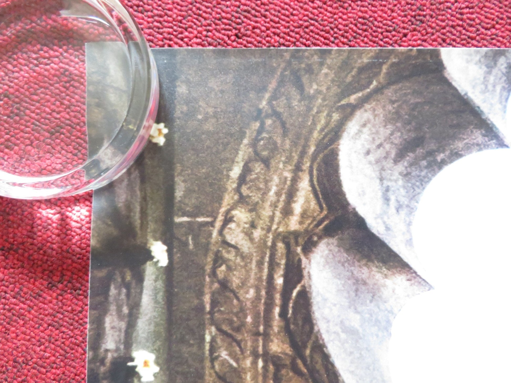 PAD MAN UK QUAD ROLLED POSTER AKSHAY KUMAR RADHIKA APTE 2018 Rendezvous Cinema Movie posters