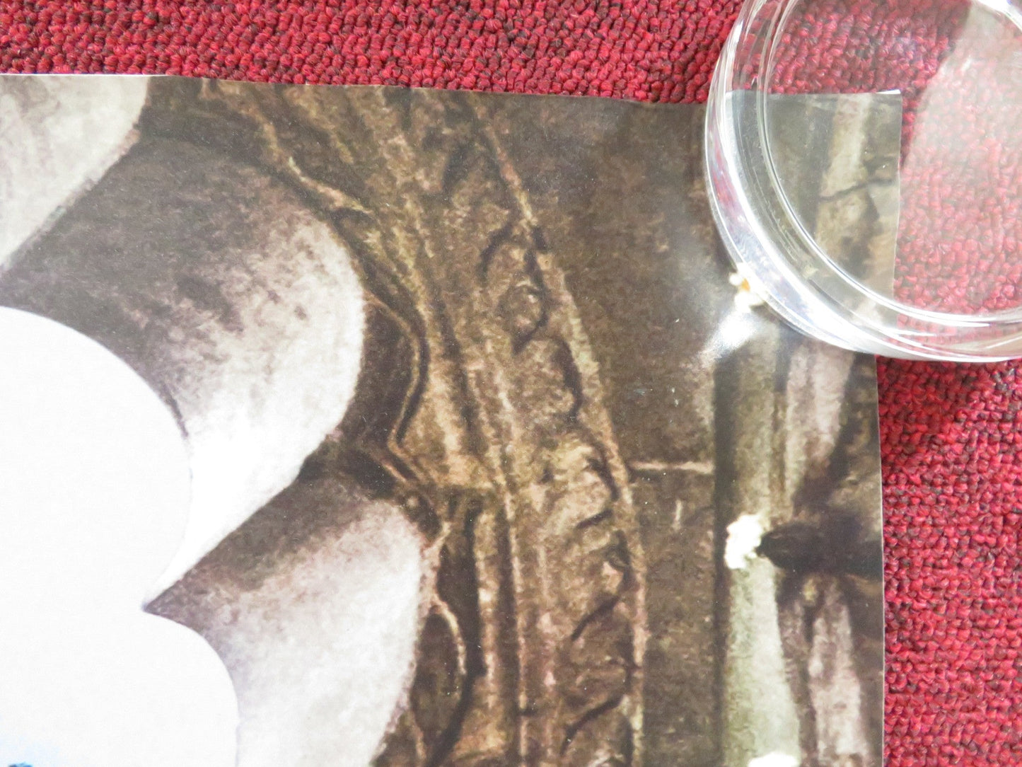 PAD MAN UK QUAD ROLLED POSTER AKSHAY KUMAR RADHIKA APTE 2018 Rendezvous Cinema Movie posters