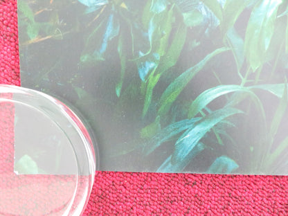 PADDINGTON IN PERU - B UK QUAD ROLLED POSTER BEN WHISHAW HUGH BONNEVILLE 2024 Movie posters