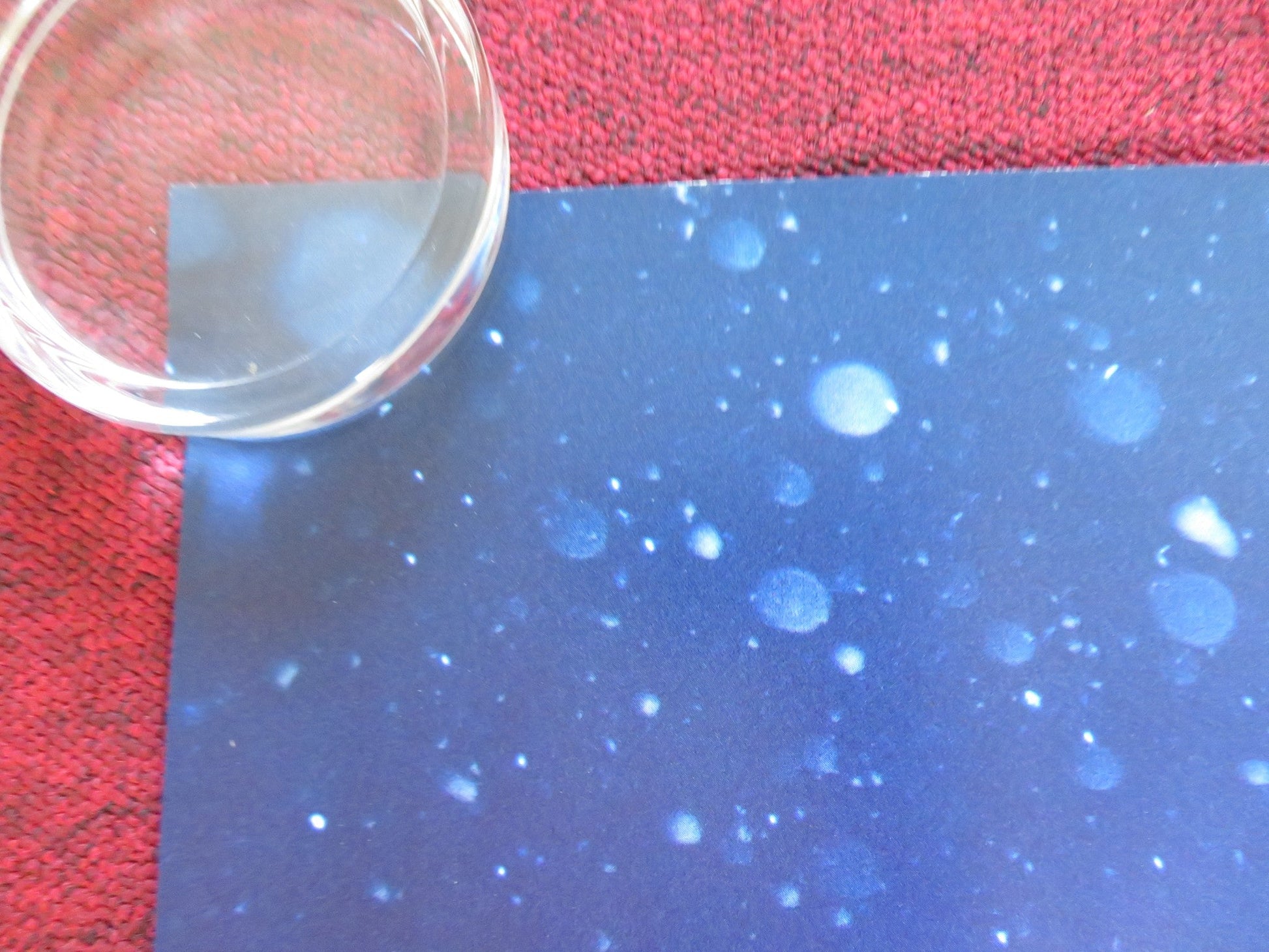 PADDINGTON & PADDINGTON 2 UK QUAD ROLLED POSTER HUGH BONNEVILLE BEN WHISHAW 2024 Rendezvous Cinema Movie posters