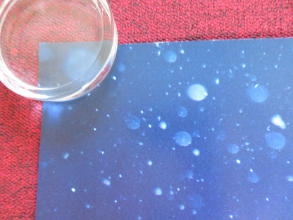 PADDINGTON & PADDINGTON 2 UK QUAD ROLLED POSTER HUGH BONNEVILLE BEN WHISHAW 2024 Rendezvous Cinema Movie posters