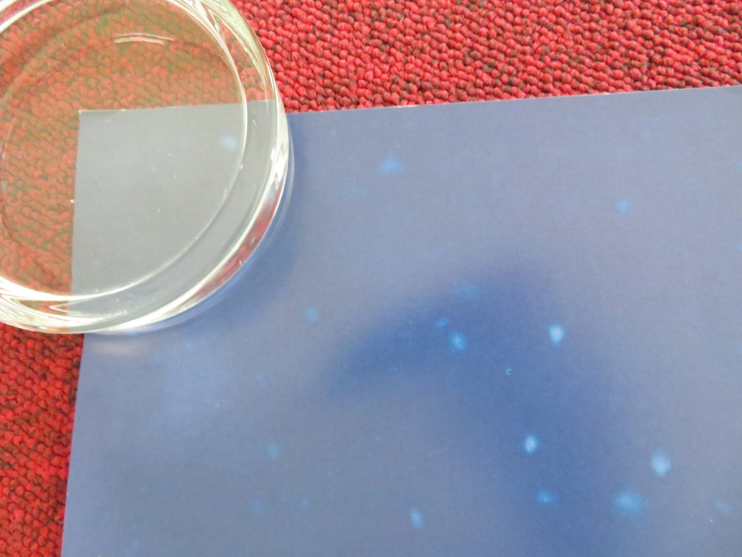 PADDINGTON UK QUAD ROLLED POSTER BEN WHISHAW HUGH BONNEVILLE 2014 Movie posters