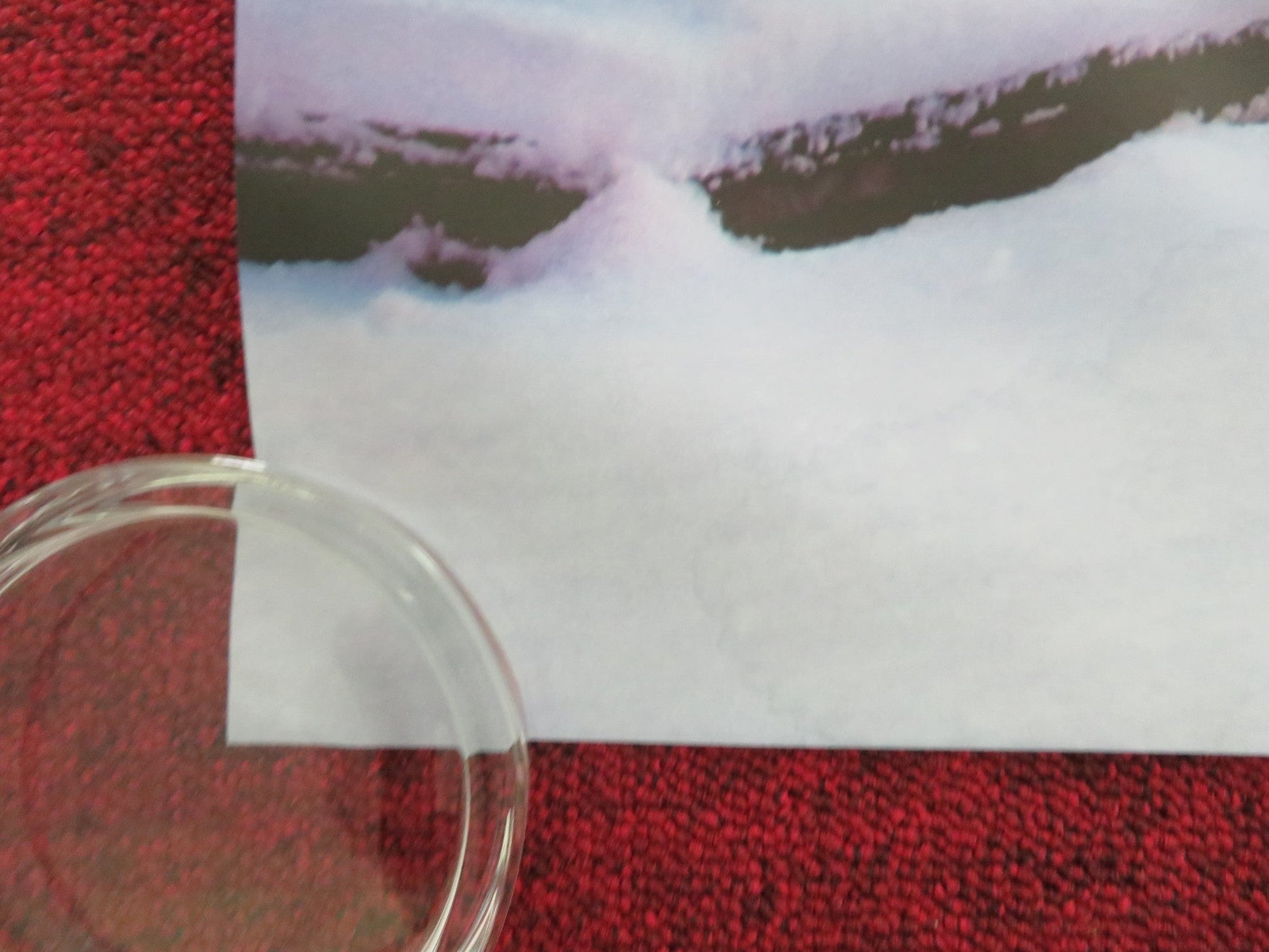 PADDINGTON UK QUAD ROLLED POSTER BEN WHISHAW HUGH BONNEVILLE 2014 Movie posters