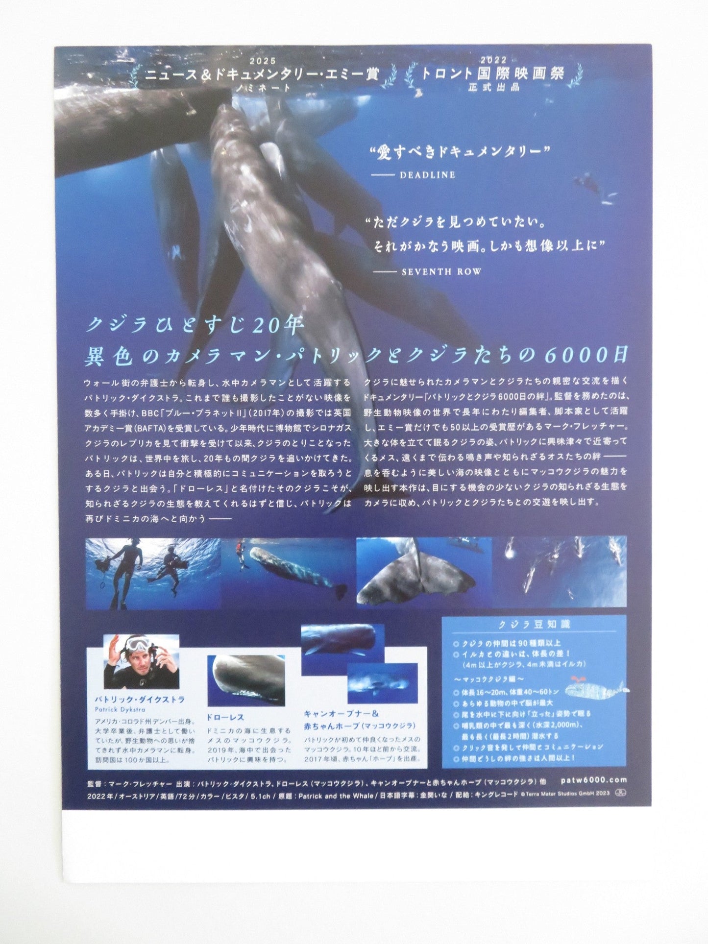 PATRICK AND THE WHALE JAPANESE CHIRASHI (B5) POSTER PATRICK DYKSTRA 2022 Movie posters