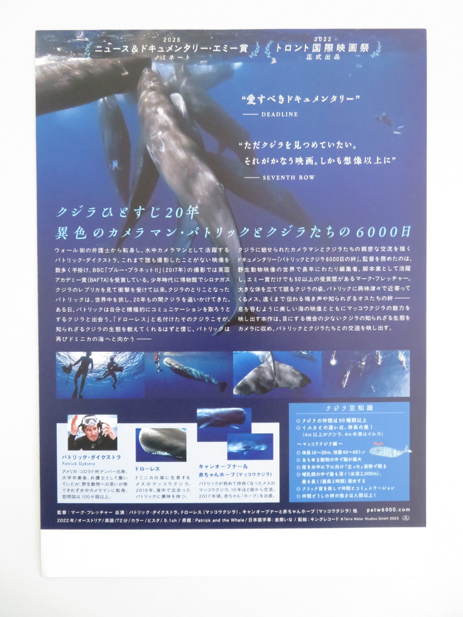 PATRICK AND THE WHALE JAPANESE CHIRASHI (B5) POSTER PATRICK DYKSTRA 2022 Movie posters